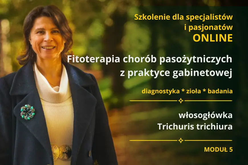 ogłoszenie o szkoleniu z włosogłówki, zielarka stoi w parku